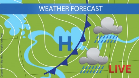 VeggieTales background texture illustration by Cedric Hohnstadt