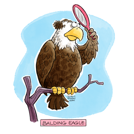 110715-BaldingEagle-800px