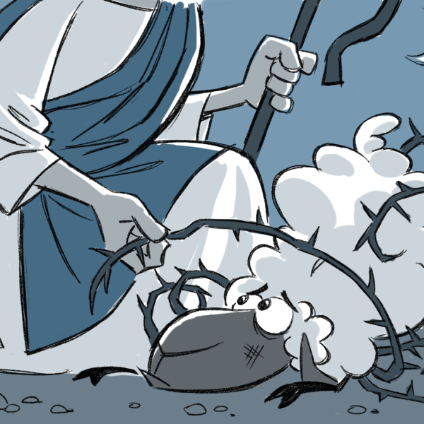 090216-sheep-v4-teaser1